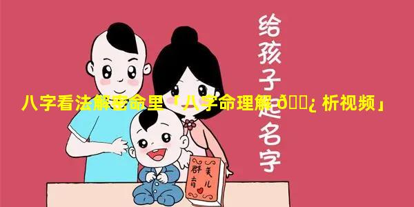 八字看法解密命里「八字命理解 🌿 析视频」